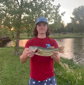 Meet your Posher, Jackson